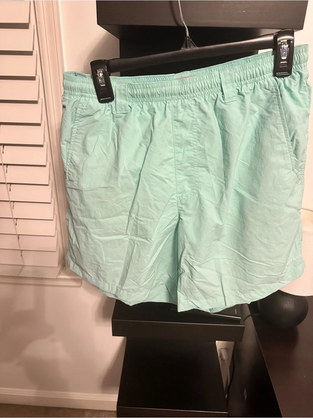 Men's Mint Green Swim Trunks with Elastic Waist
